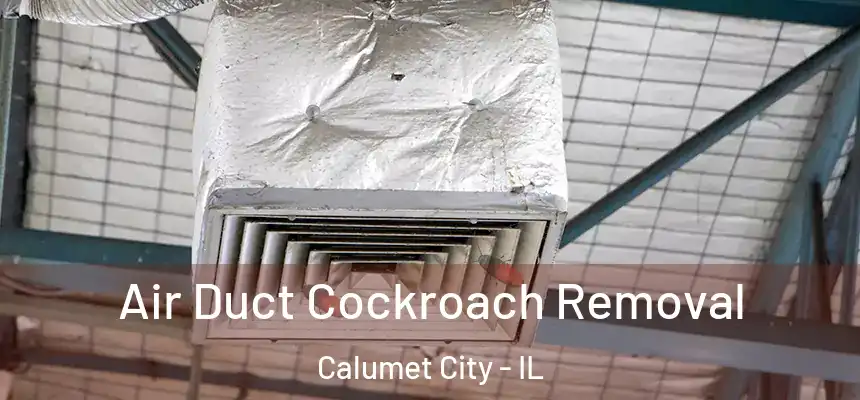  Air Duct Cockroach Removal Calumet City - IL