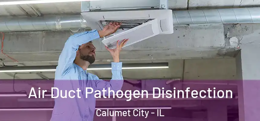  Air Duct Pathogen Disinfection Calumet City - IL