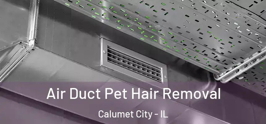  Air Duct Pet Hair Removal Calumet City - IL