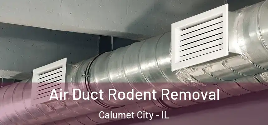 Air Duct Rodent Removal Calumet City - IL