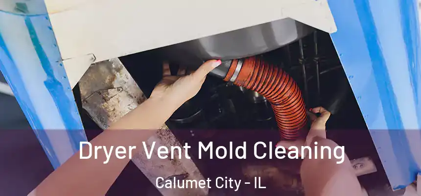 Dryer Vent Mold Cleaning Calumet City - IL