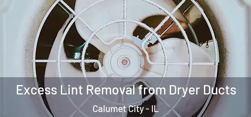Excess Lint Removal from Dryer Ducts Calumet City - IL