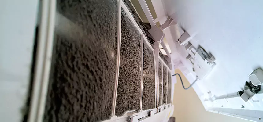 Preventive Air Duct Bacteria Removal in Calumet City