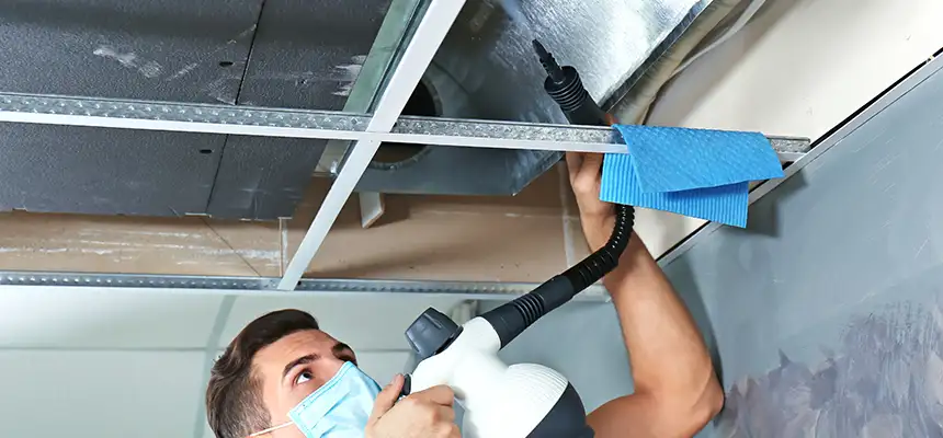 Our Air Duct Rodent Removal Services in Calumet City, IL
