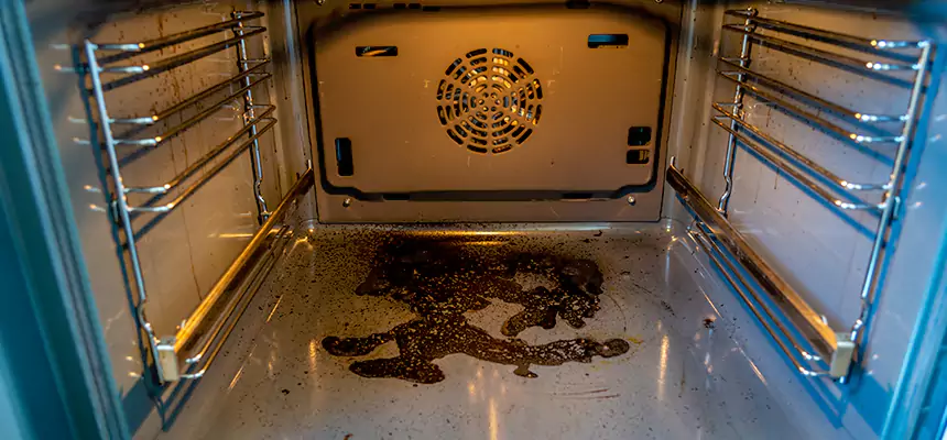 Our Dryer Vent Mold Cleaning Services in Calumet City, IL