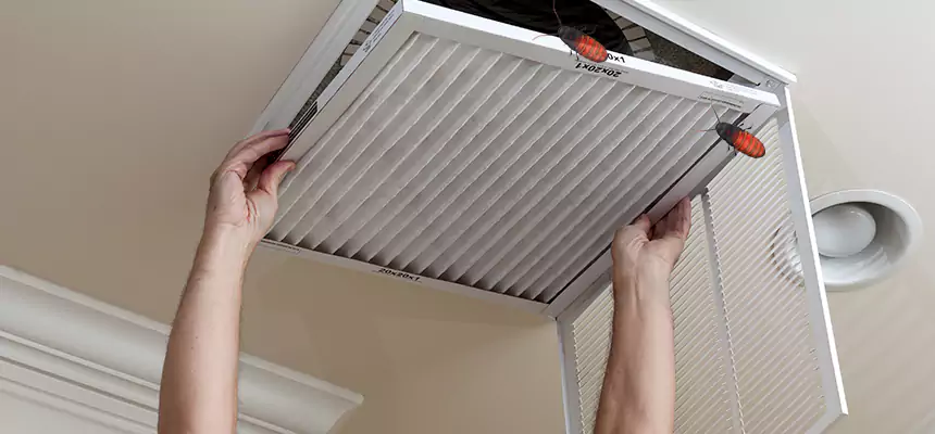 Our Insect Removal from Air Ducts Services in Calumet City, IL