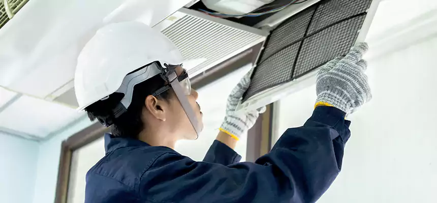 Our Mold & Mildew Removal from Air Ducts Services in Calumet City, IL