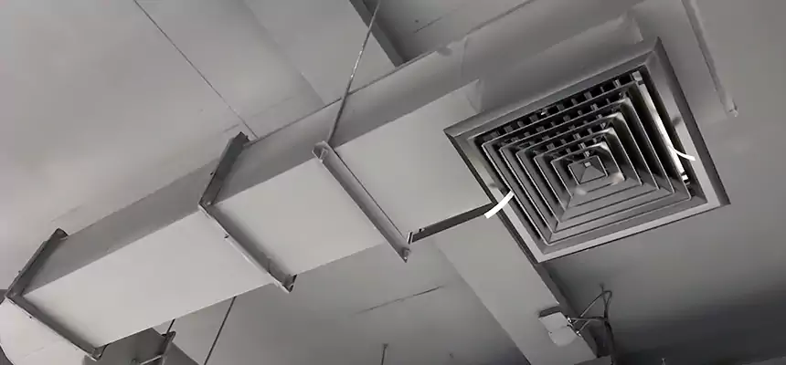 Our Pest Removal From Ducts Services in Calumet City, IL