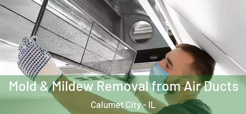 Mold & Mildew Removal from Air Ducts Calumet City - IL