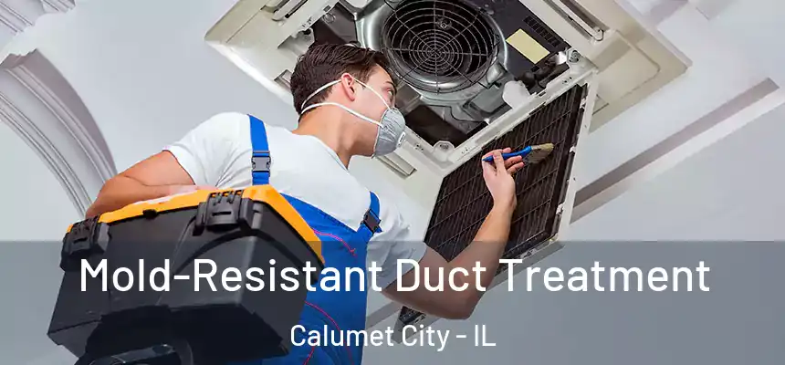  Mold-Resistant Duct Treatment Calumet City - IL