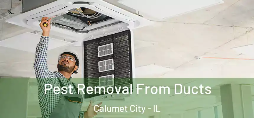 Pest Removal From Ducts Calumet City - IL