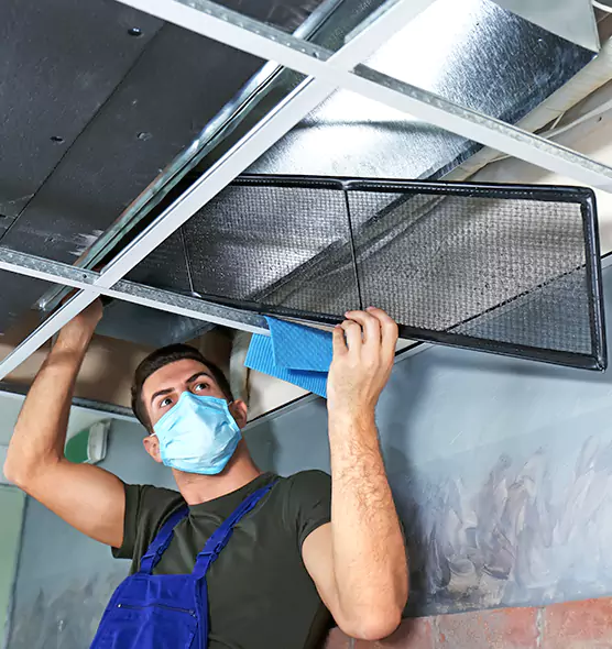 About Air Duct Bacteria Removal in Calumet City