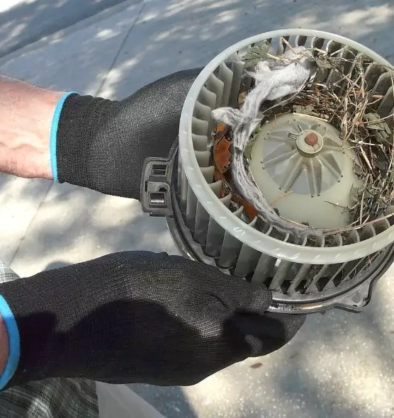 About Air Duct Mice Removal in Calumet City, IL