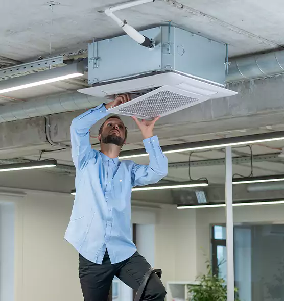 Advanced Rodent Droppings In Vents in Calumet City, IL
