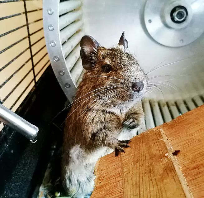 Why Homeowners & Businesses Trust Us Calumet City, IL?