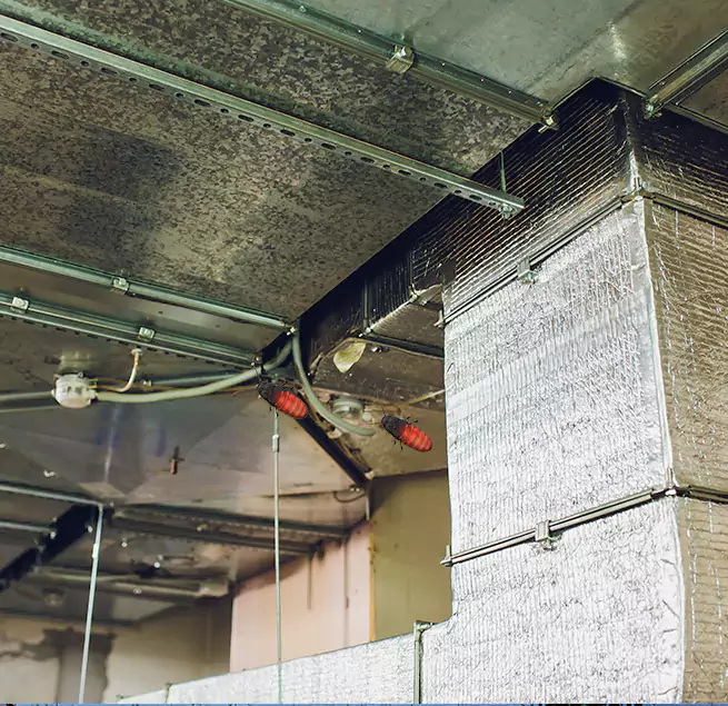 Why Homeowners & Businesses Trust Us Calumet City, IL?