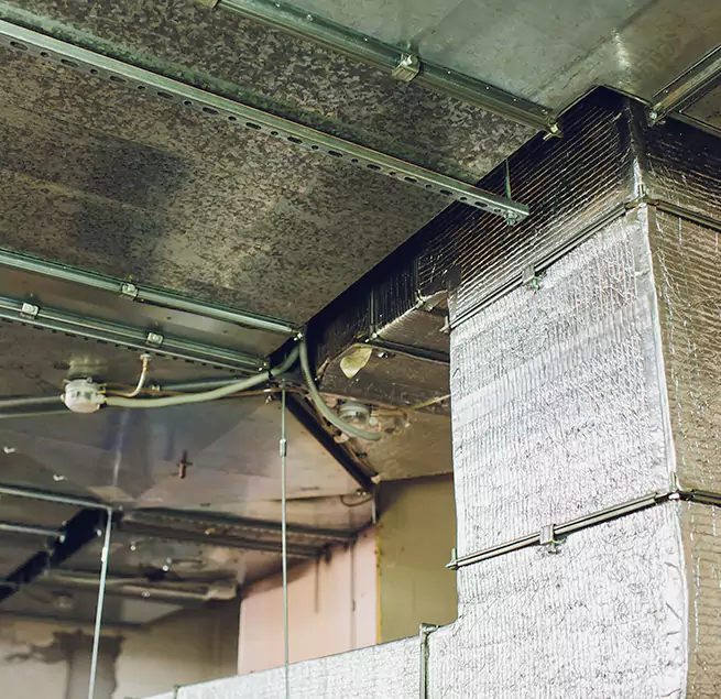 Why Homeowners & Businesses Trust Us in Calumet City, IL?